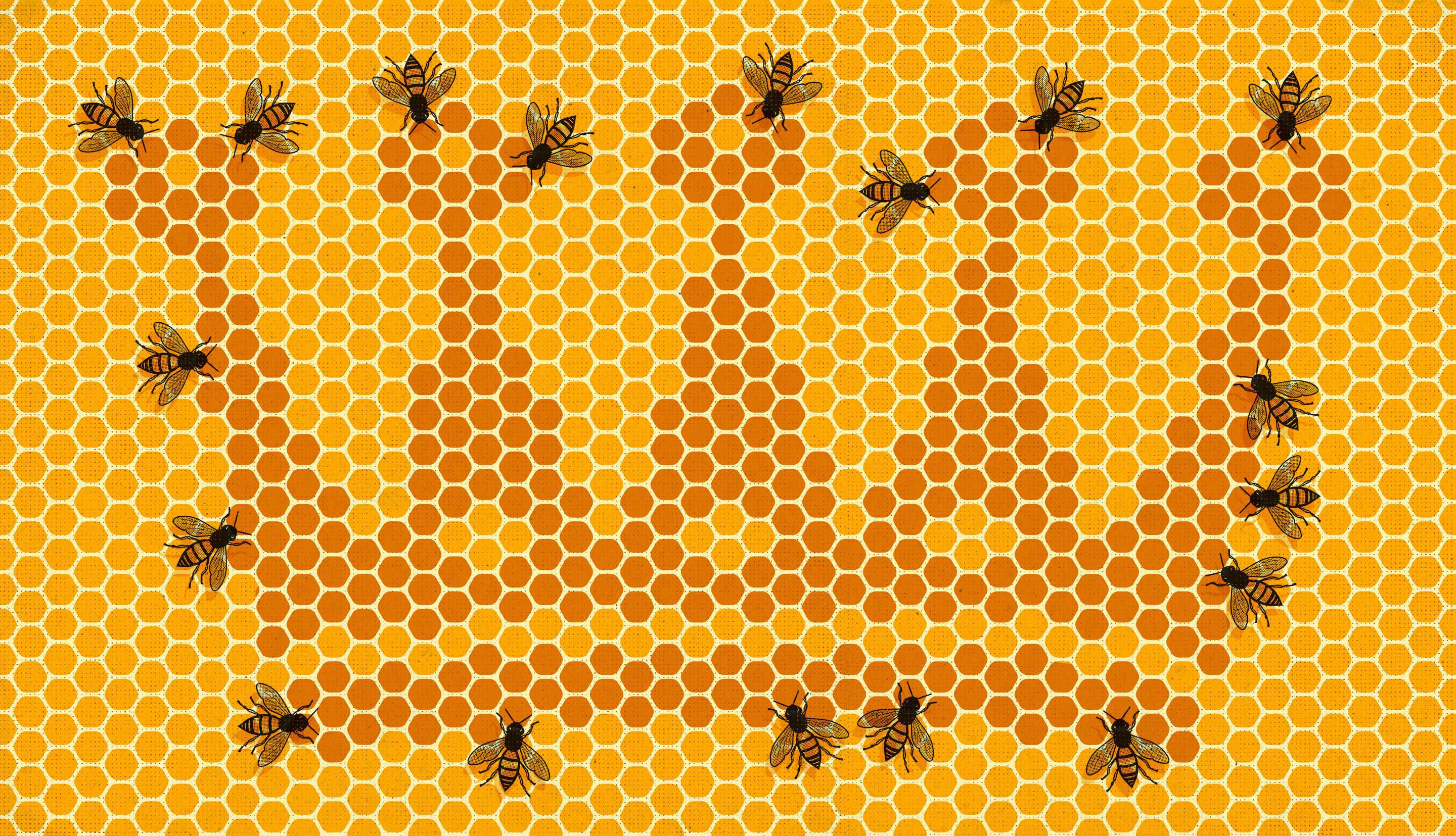 Art for "How Equality and Inequality Shape the Birds and the Bees"