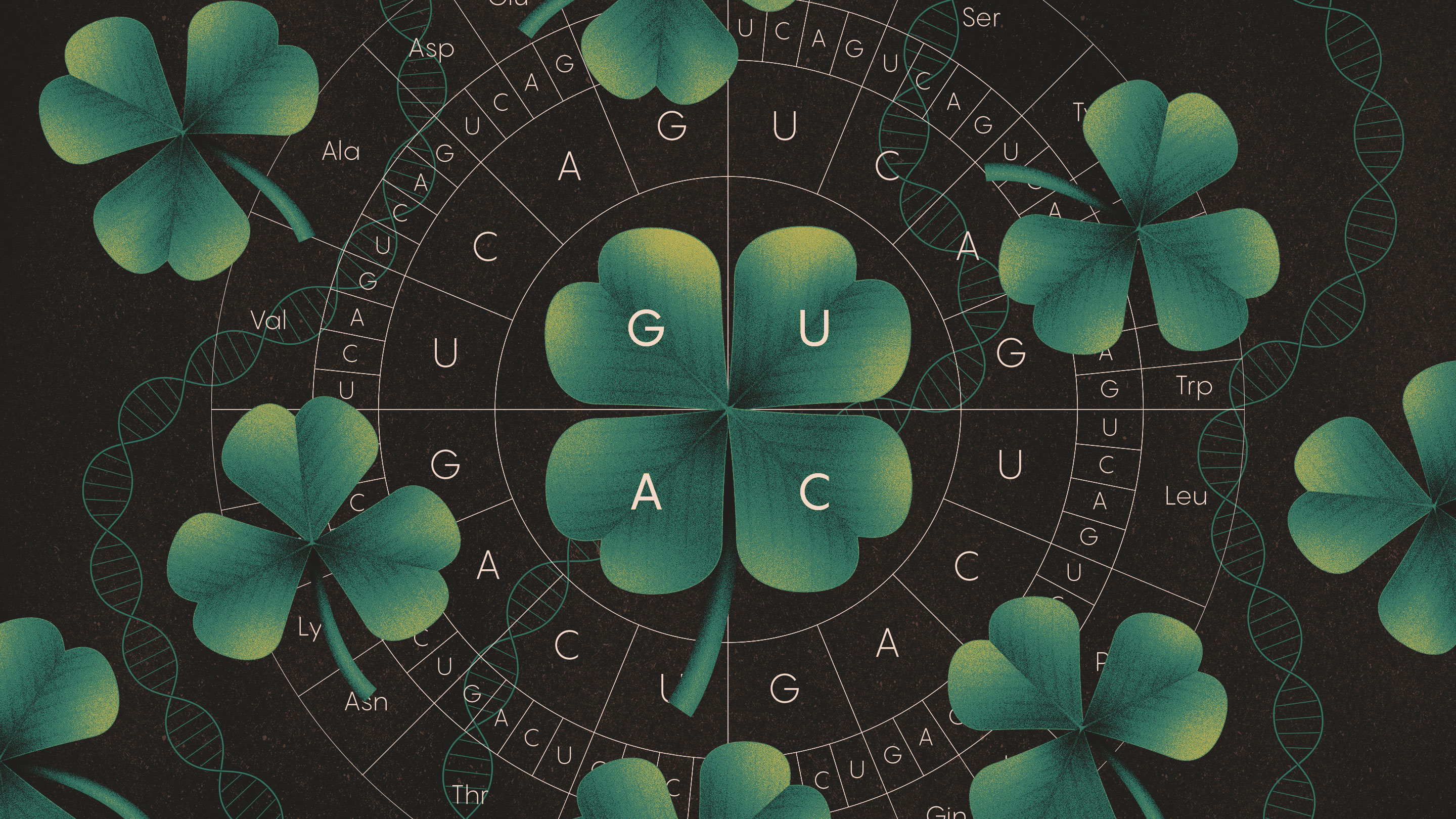 Illustration that combines elements of three- and four-leaf clovers with the letter for nucleotides in codons.